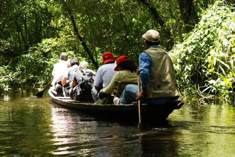 Iquitos: 4-Day Amazon Camp Jungle Tour Iquitos: 4-Day Amazon Camp Jungle Tour for 1 Person