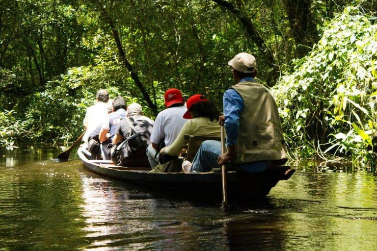Iquitos: 4-Day Amazon Camp Jungle Tour Iquitos: 4-Day Amazon Camp Jungle Tour for 1 Person