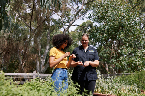 Adelaide: Tour histórico e cultural guiado por Warriparinga