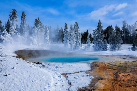 Salt Lake City: 4-Day Yellowstone & Grand Teton Winter Tour