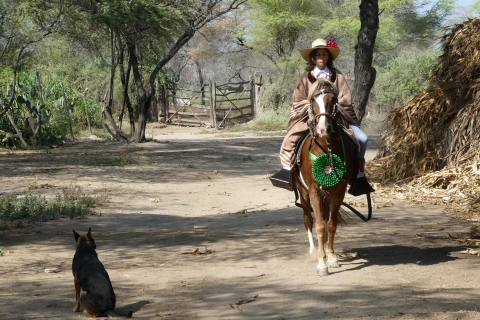 Peru, Chiclayo: 1 day horseback riding and Ancient Pyramids Peru, Chiclayo: 1 day horse riding, Ancient Pyramids/Forest