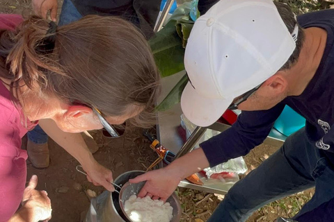Corn, Cheese, and Mono en Bijao Experience in Boquete
