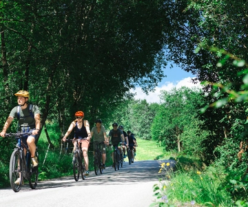 Olden: Guided e-bike tour