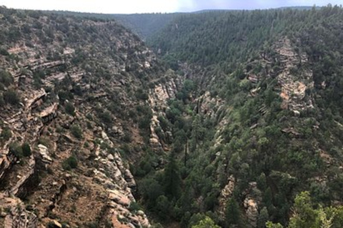 Phoenix Day Trip Walnut Canyon Meteor Crater and Winslow Shared Tour