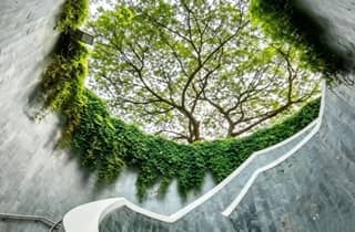 Singapur: Private Instagram-Tour zu den Sehenswürdigkeiten per Auto