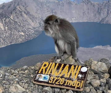 trekking mount rinjani summit join in group tour