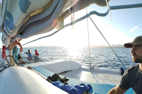 Lanzarote : Observation des baleines et des dauphins à bord d&#039;un catamaran écologique