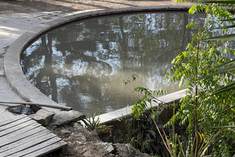 Santa Teresa Hot Springs, Fruit Tasting, & Ataco Tour
