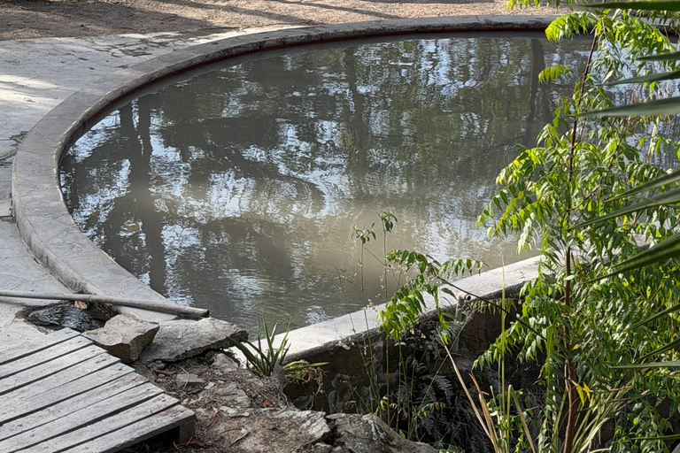 Santa Teresa Hot Springs, Fruit Tasting, & Ataco Tour