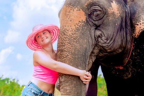 Phuket: Gå och plantera Promenad och plantering i Elephant Nature Park BesökPhuket: Gå och plantera i Elephant Nature Park Besök