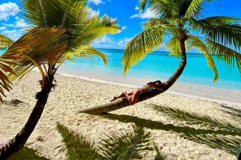 Punta Cana: Saona Island Exclusive Private Beach, Open Bar & Premium Lunch