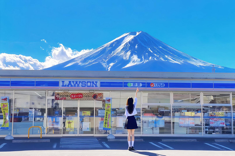 Mount Fuji Day Tour: Instagrammable Spots + Scenic Train From Tokyo (Including ropeway and cruise)