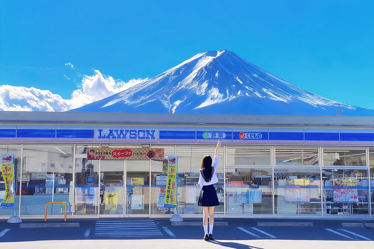 Mount Fuji Day Tour: Instagrammable Spots + Scenic Train From Tokyo (Including ropeway and cruise)