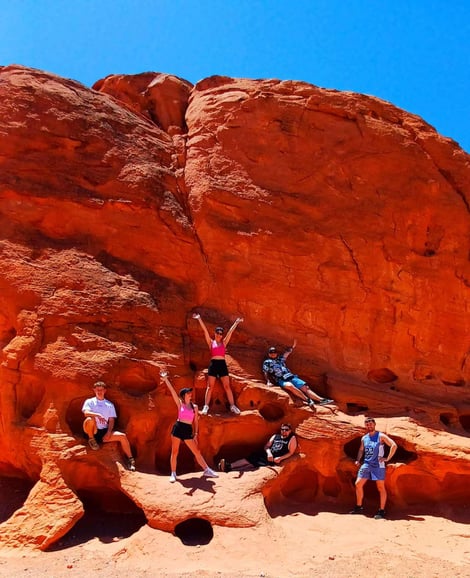 Von Las Vegas: Ganztägige Führung durch das Valley of Fire mit Mittagessen