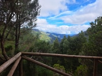 Caniço/Funchal, Rabaçal, Risco and 25 Fountains Hiking Tour - Housity