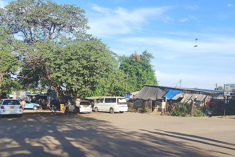 Victoria Falls: Walking Tour with Curio Market Visit