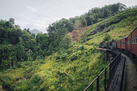 Ella: Curated Scenic Train Journey from Nanu Oya with Locals Nuwara Eliya: Train E Ticket to Ella 1st or 2nd class cabin