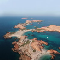 Dimaniyat Island Tour with Snorkeling - Housity