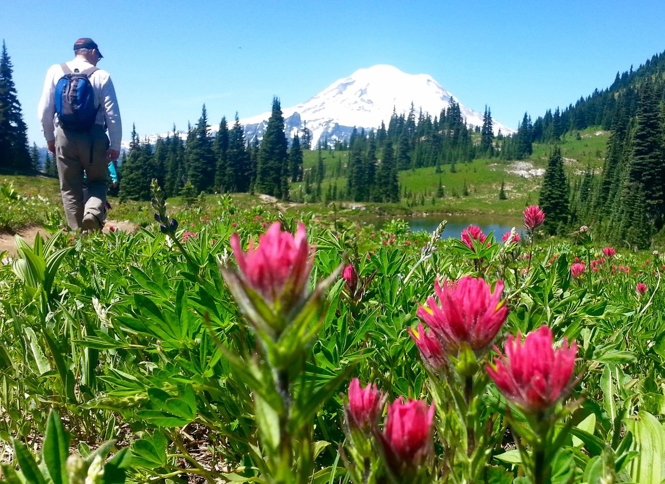 Seattle: Mount Rainier Park All-Inclusive tur med en lille gruppe