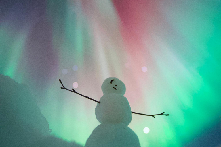 Rovaniemi: Aurora-Jagd-Gruppentour – garantierte Sicht