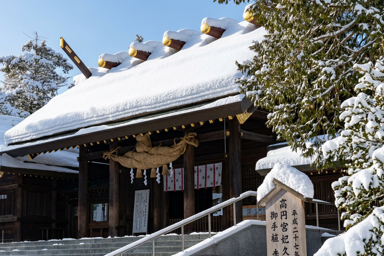 Hokkaido: Hill of the Buddha&Otaru, Mount Tengu Day Trip