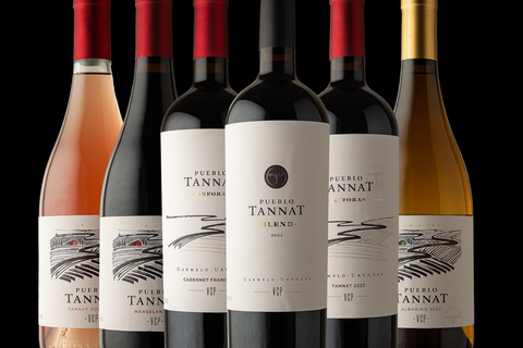 From Colonia: Pueblo Tannat Winery Experience Wine & Cheese Tasting