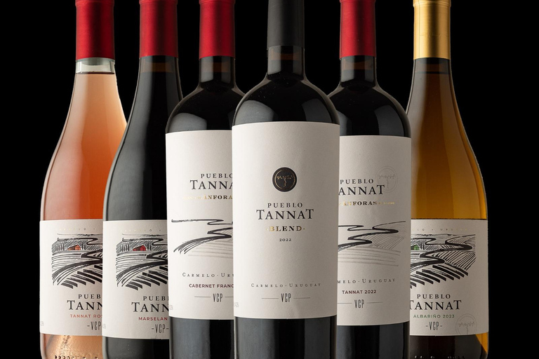 From Colonia: Pueblo Tannat Winery Experience Wine & Cheese Tasting