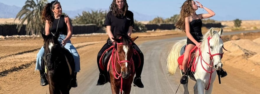 Charm el-Cheikh : équitation dans le désert et la mer, avec transferts