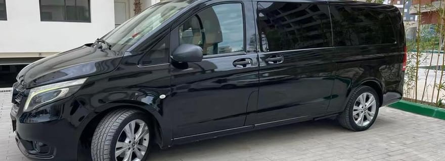 Transfer Vip di sola andata dall'aeroporto di Malaga alla città di Malaga