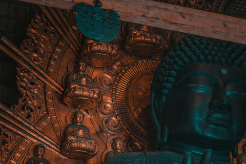 Kyoto/Osaka: Kyoto&Nara Private Customized Guided Tour