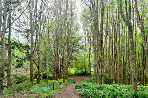 Excursión por la naturaleza de Auckland