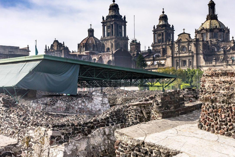 Mexico City: Downtown Walking Tour (CH, JP, ENG or SPA/ESP) Mexico City Downtown Walking Tour (in Chinese)