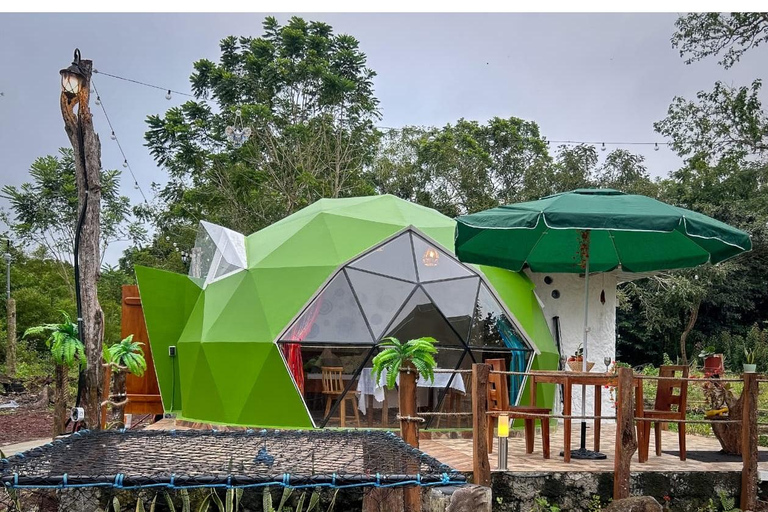 Galapagos: Giant Tortoises & Lava Tunnels tour with a Dome Stay Giant Tortoises & Lava Tunnels Experience with a Dome Stay