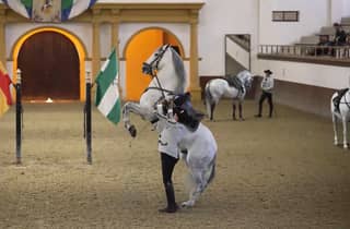 Von Sevilla: Jerez, Cádiz und andalusische Pferde