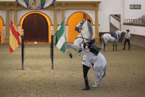 Depuis Séville : Jerez, Cádix et chevaux andalous