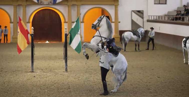 From Seville: Jerez, Cádiz and Andalusian Horses
