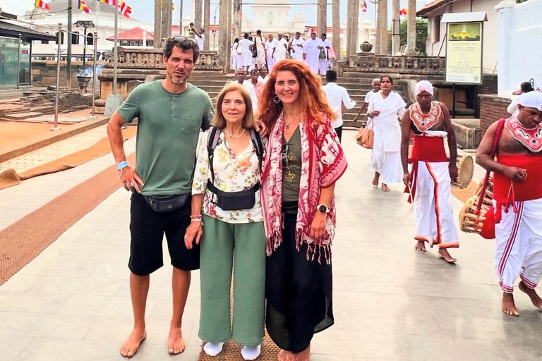 Negombo to Anuradhapura Transfer with Wilpattu Safari