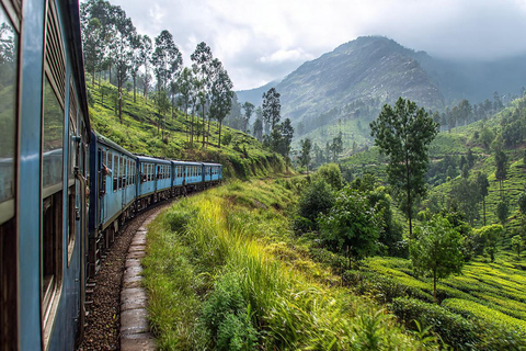 Kandy to Nanu Oya Transfer+Free Train Ticket Nanu Oya > Ella
