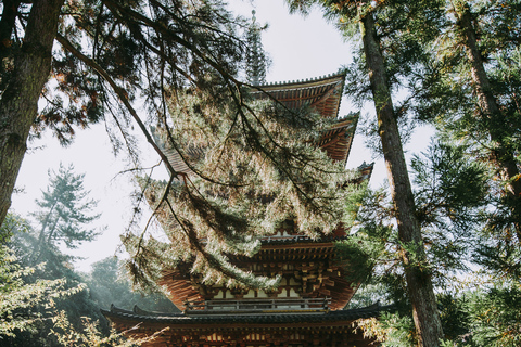 Tokyo: Nikko Kegon Falls Lake Chuzenji Toshogu Temple & More From Tokyo: Nikko Unesco Customised Private Tour In Prado