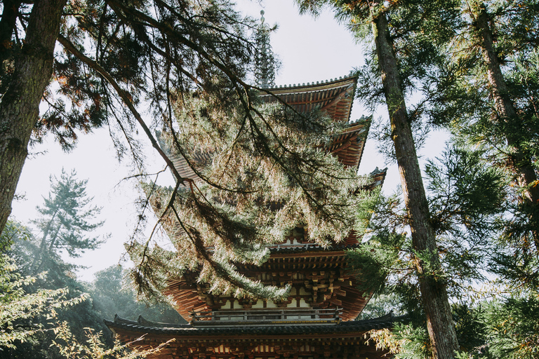 Tokyo: Nikko Kegon Falls Lake Chuzenji Toshogu Temple & More From Tokyo: Nikko Unesco Customised Private Tour In Prado