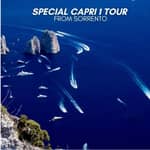 Da Sorrento: tour in barca a Capri con tempo libero sull'isola