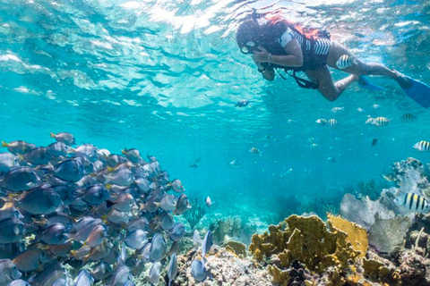 Cancún: Halve dag privé catamaran naar Isla MujeresPrivé