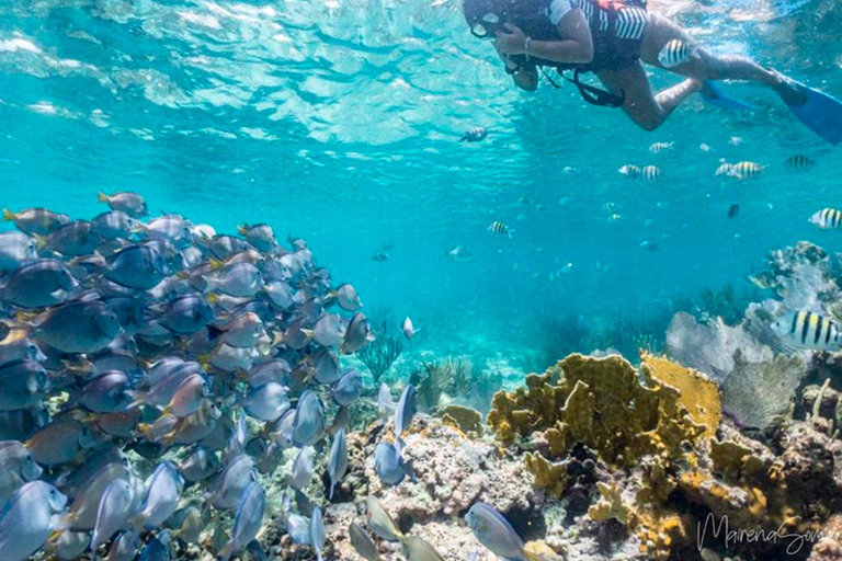 Cancun: Catamarano privato di mezza giornata per Isla MujeresPrivato