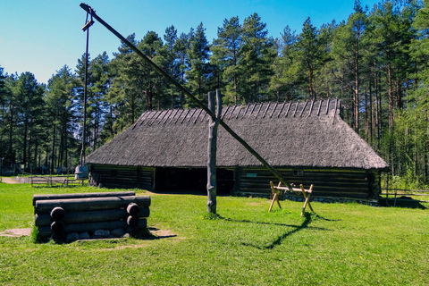 Skip-the-Line Estonian Open Air Museum Private Guided Tour 2-hour: Estonian Art Museum Tour