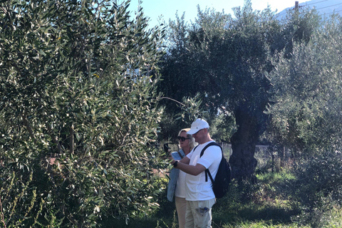 Rundtur och provsmakning av olivolja i Kalamata, Messinia, GreklandOlivoljevisning och provsmakning i Kalamata, Messinia Grekland