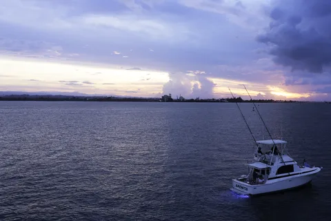 Esplora i maestosi panorami della baia di San Juan, Porto Rico