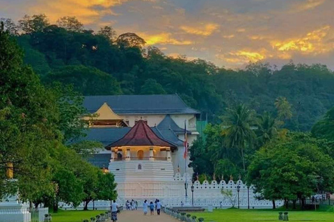Bentota: Kandy Day Tour with Temple of the tooth & Gardens