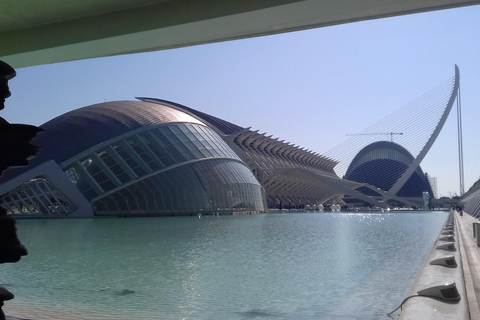 La Cité des Arts et des Sciences de Valence