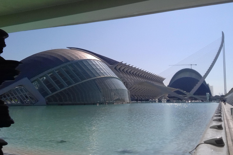 De Stad van Kunst en Wetenschap in Valencia