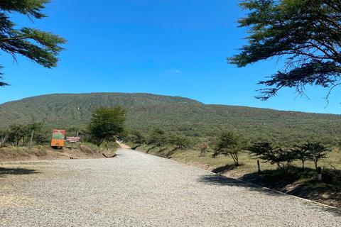 From Nairobi: Mount Longonot 4 Craters Hike Day Trip From Nairobi: Mount Longonot 4 Craters Hike Day Trip